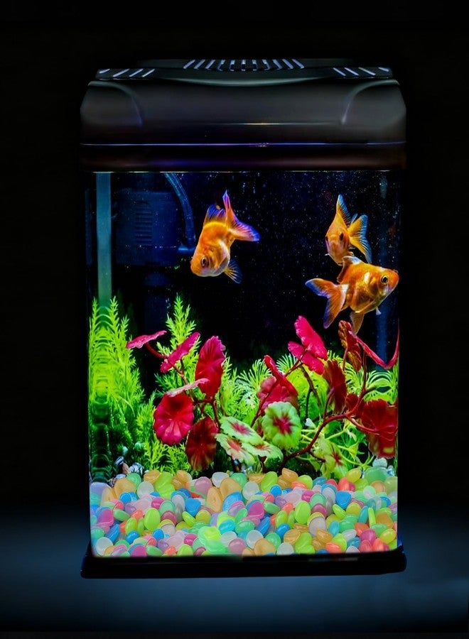 Oubest Glow in The Dark Pebbles/Glow Stones/Glowing Rocks Blue Decor for Garden/Fish Tank/Aquarium/Walkway/Driveway/Plant Pots/Bonsai (100, Multi-Colored) - Image 2